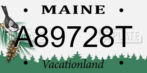 A89728T Maine License Plate