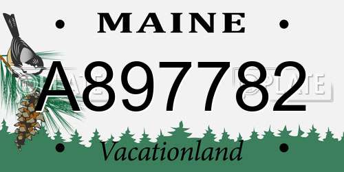 A897782 Maine License Plate