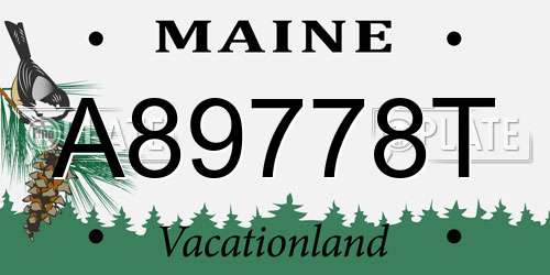 A89778T Maine License Plate