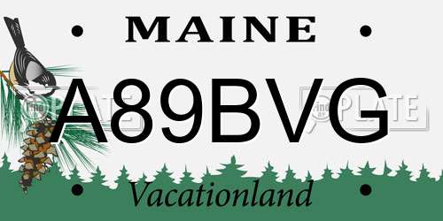 A89BVG Maine License Plate