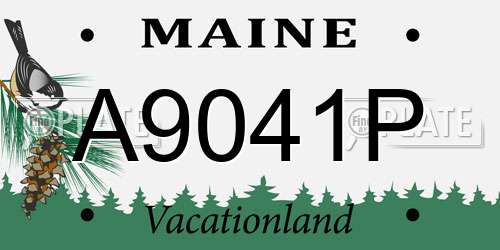 A9041P Maine License Plate