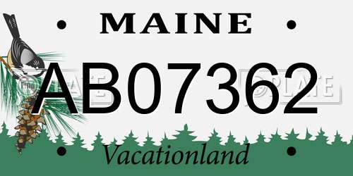 AB07362 Maine License Plate