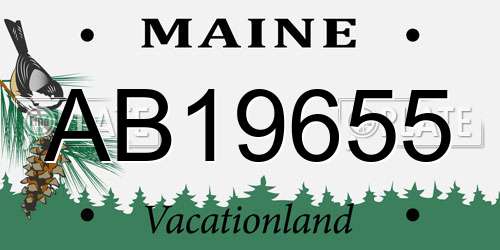 AB19655 Maine License Plate