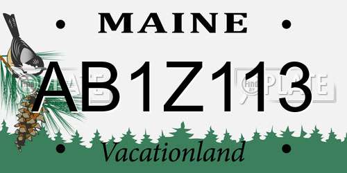 AB1Z113 Maine License Plate