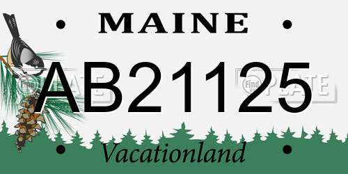AB21125 Maine License Plate