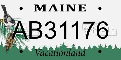AB31176 Maine License Plate