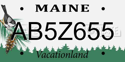 AB5Z655 Maine License Plate