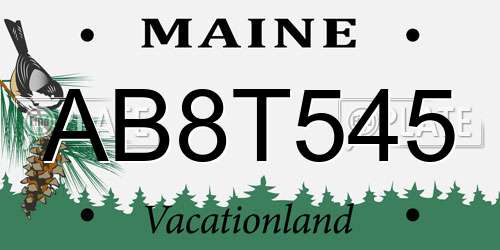 AB8T545 Maine License Plate
