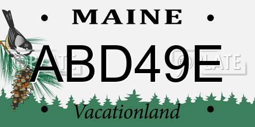 ABD49E Maine License Plate