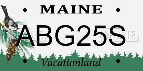 ABG25S Maine License Plate