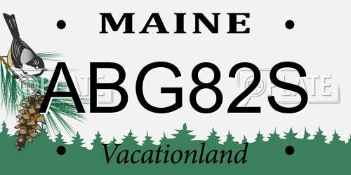 ABG82S Maine License Plate