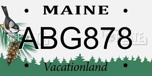 ABG878 Maine License Plate
