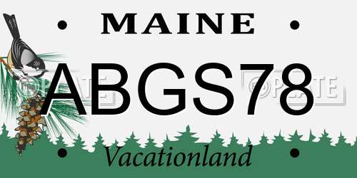 ABGS78 Maine License Plate