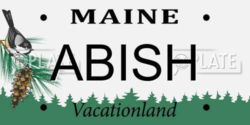 ABISH Maine License Plate