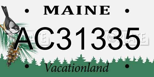 AC31335 Maine License Plate