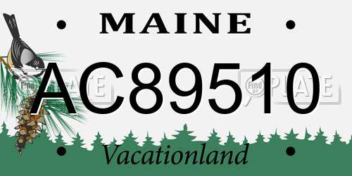 AC89510 Maine License Plate