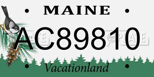 AC89810 Maine License Plate