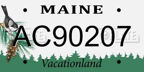 AC90207 Maine License Plate