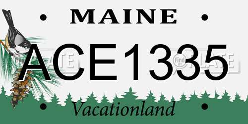 ACE1335 Maine License Plate