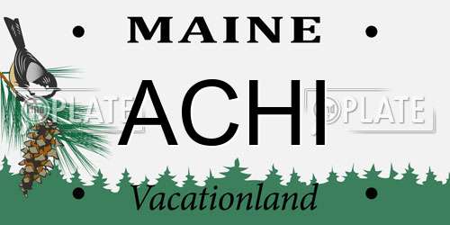 ACHI Maine License Plate