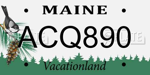 ACQ890 Maine License Plate