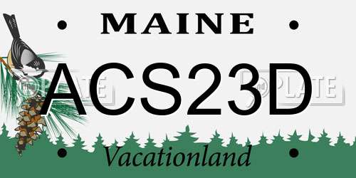 ACS23D Maine License Plate