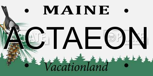 ACTAEON Maine License Plate