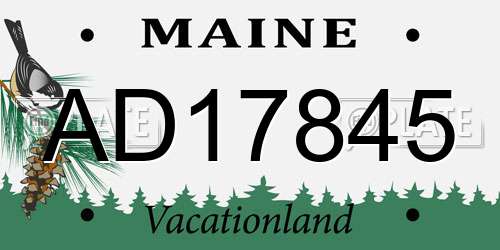 AD17845 Maine License Plate