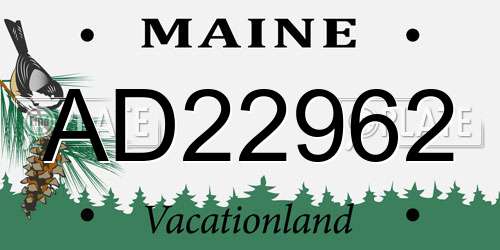 AD22962 Maine License Plate