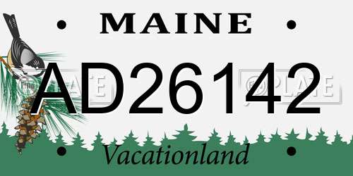 AD26142 Maine License Plate