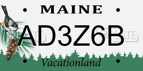 AD3Z6B Maine License Plate