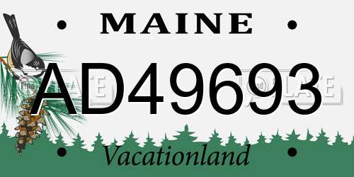 AD49693 Maine License Plate