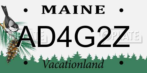 AD4G2Z Maine License Plate