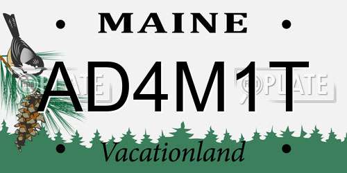 AD4M1T Maine License Plate