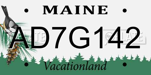 AD7G142 Maine License Plate