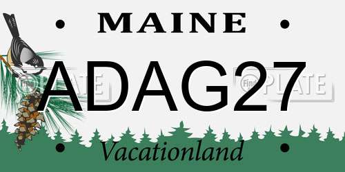 ADAG27 Maine License Plate