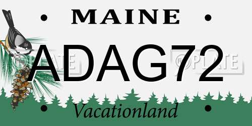 ADAG72 Maine License Plate