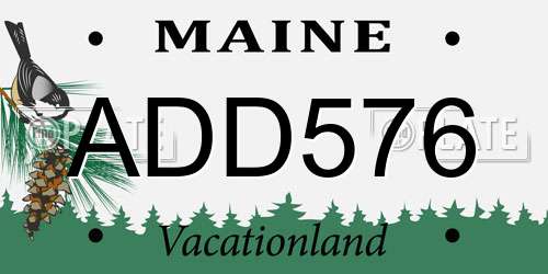 ADD576 Maine License Plate