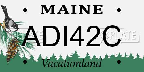 ADI42C Maine License Plate