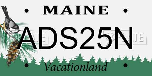 ADS25N Maine License Plate