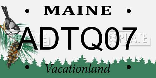 ADTQ07 Maine License Plate