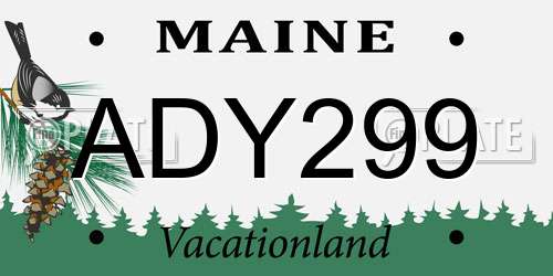 ADY299 Maine License Plate
