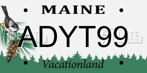 ADYT99 Maine License Plate