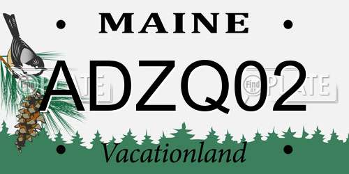 ADZQ02 Maine License Plate