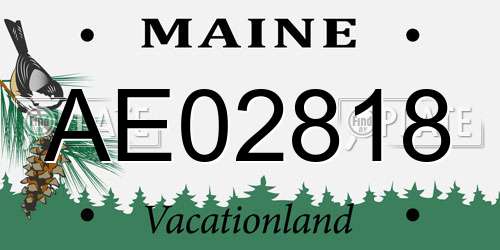 AE02818 Maine License Plate