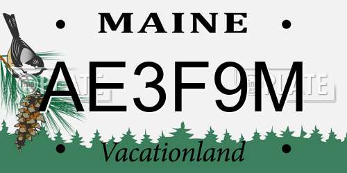 AE3F9M Maine License Plate