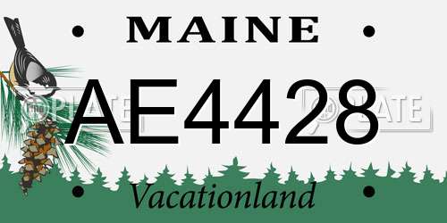 AE4428 Maine License Plate