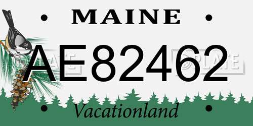 AE82462 Maine License Plate