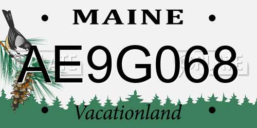 AE9G068 Maine License Plate