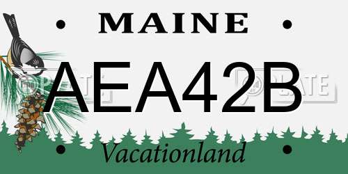 AEA42B Maine License Plate